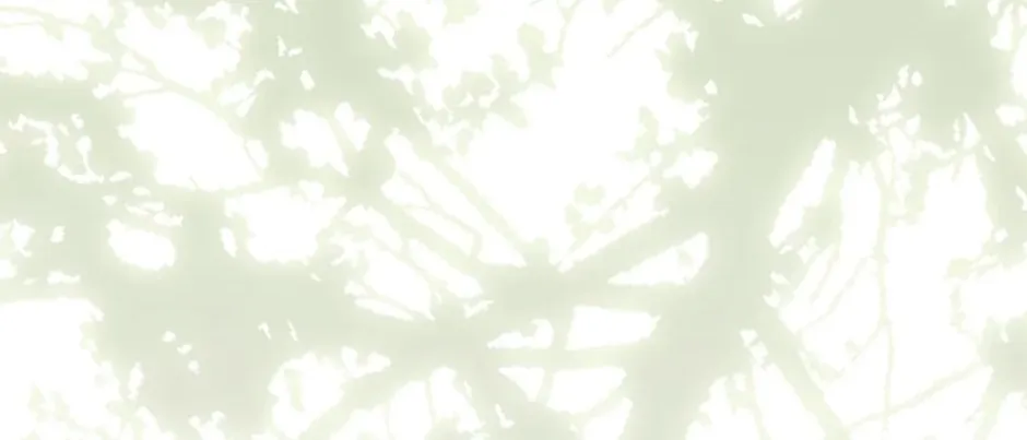 Catherine's Key to a Happy Life - Chapter 42 - Page 4