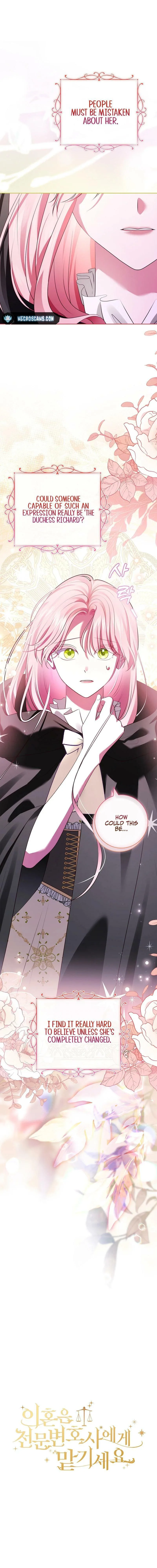 Leave the Divorce to a Professional Lawyer - Chapter 2 - Page 9