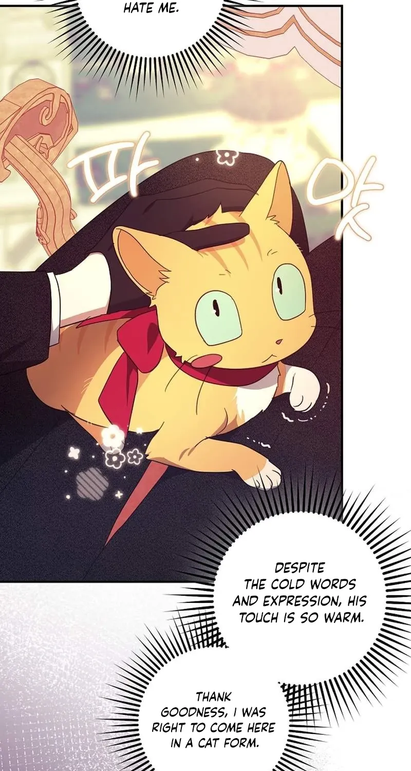 Catherine's Key to a Happy Life - Chapter 61 - Page 68