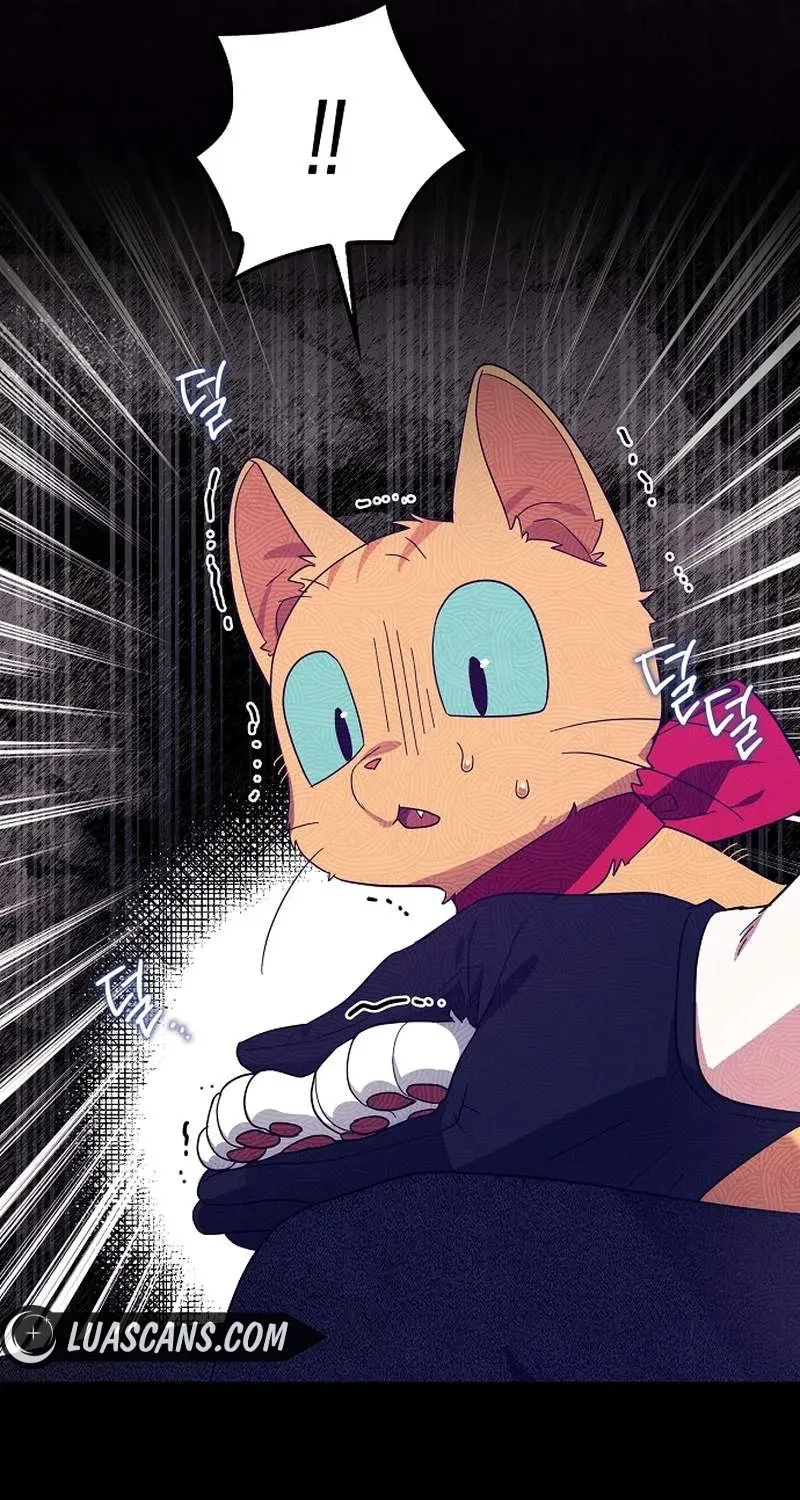 Catherine's Key to a Happy Life - Chapter 61 - Page 71