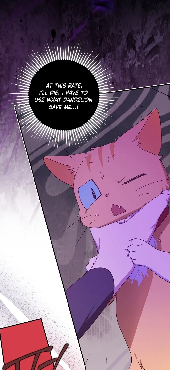 Catherine's Key to a Happy Life - Chapter 62 - Page 12