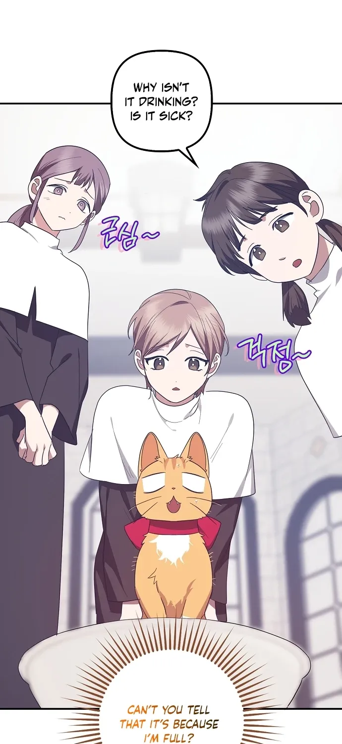 Catherine's Key to a Happy Life - Chapter 62 - Page 62