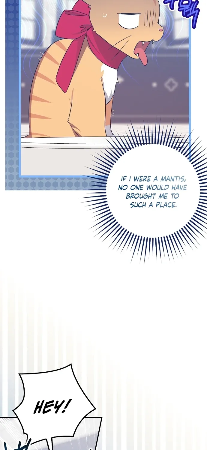 Catherine's Key to a Happy Life - Chapter 62 - Page 67