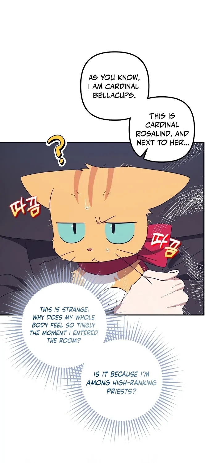 Catherine's Key to a Happy Life - Chapter 62 - Page 84