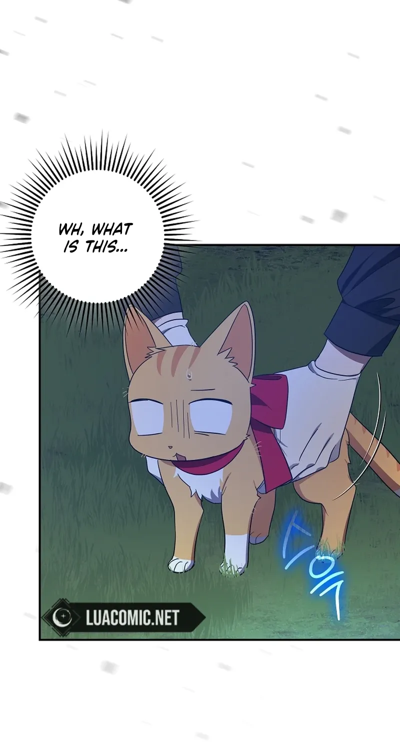Catherine's Key to a Happy Life - Chapter 64 - Page 9