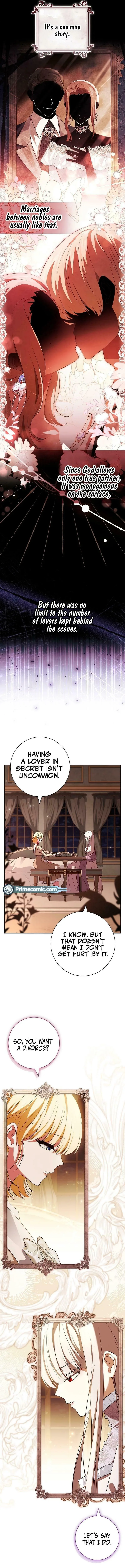 Leave the Divorce to a Professional Lawyer - Chapter 25 - Page 13