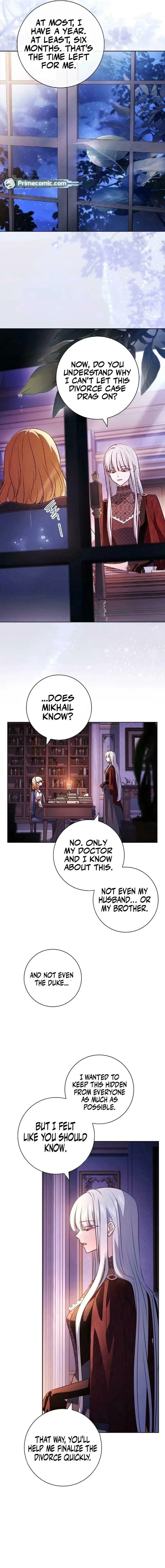 Leave the Divorce to a Professional Lawyer - Chapter 28 - Page 2