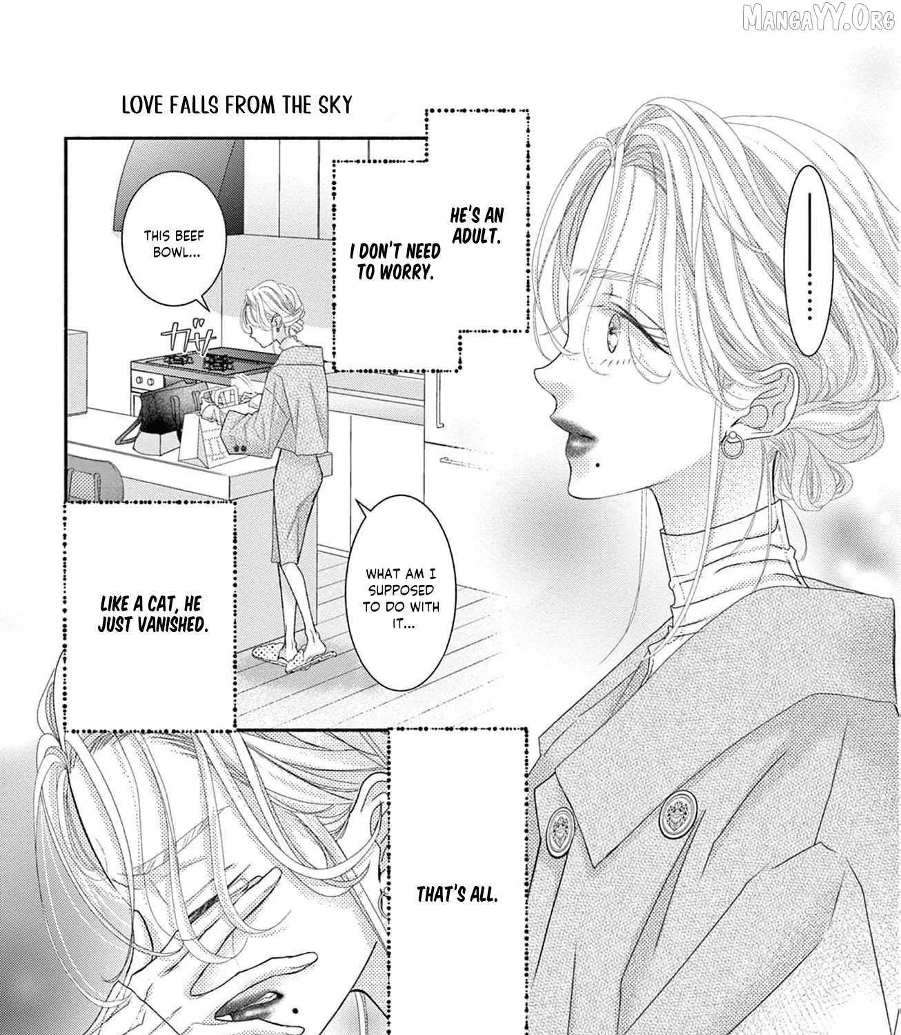 Love Falls from the Sky - Chapter 9 - Page 29
