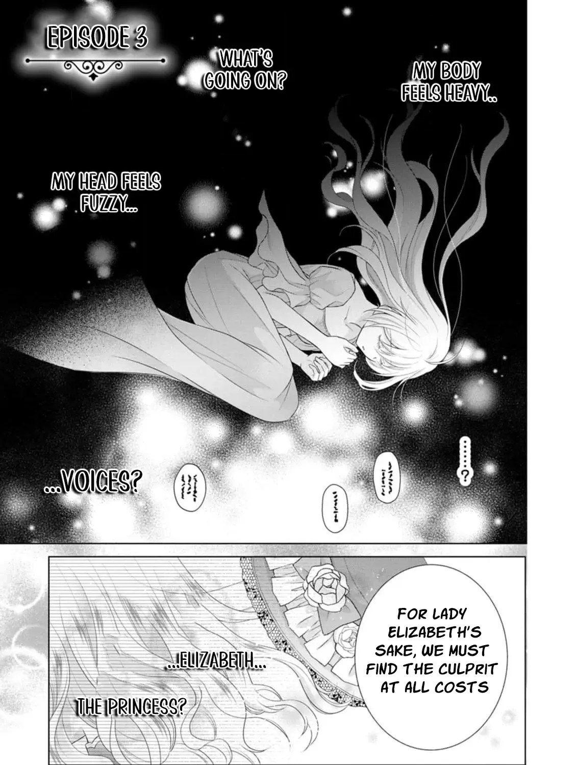 The Villainess Cursed into a Cat is Taken in by the Crown Prince - Chapter 3 - Page 3