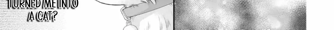 The Villainess Cursed into a Cat is Taken in by the Crown Prince - Chapter 3 - Page 24