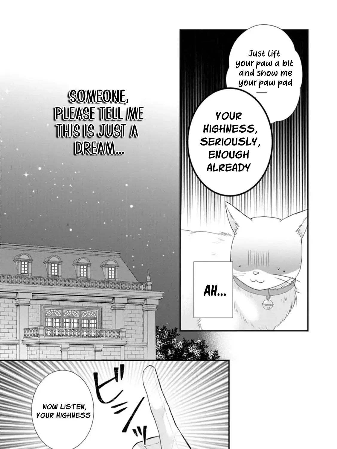 The Villainess Cursed into a Cat is Taken in by the Crown Prince - Chapter 3 - Page 27