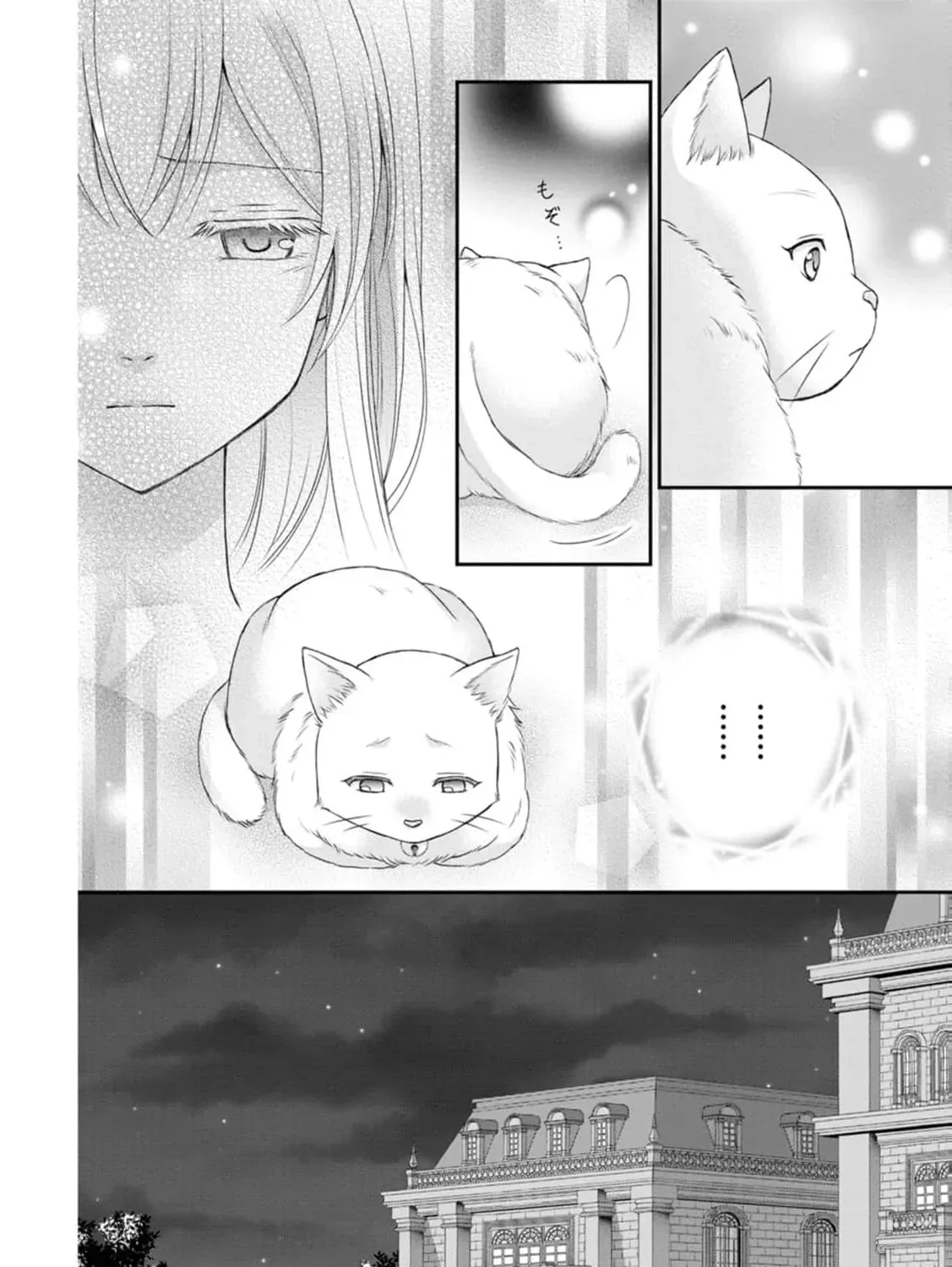 The Villainess Cursed into a Cat is Taken in by the Crown Prince - Chapter 3 - Page 57