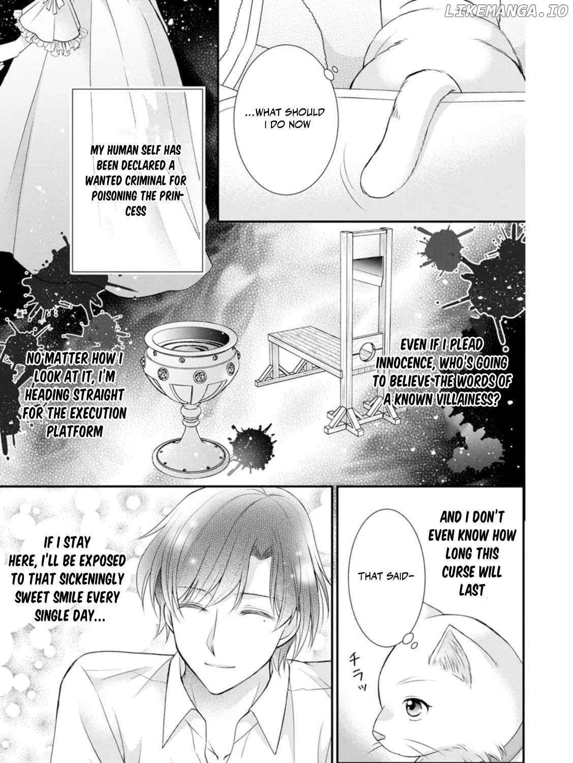 The Villainess Cursed into a Cat is Taken in by the Crown Prince - Chapter 4 - Page 7