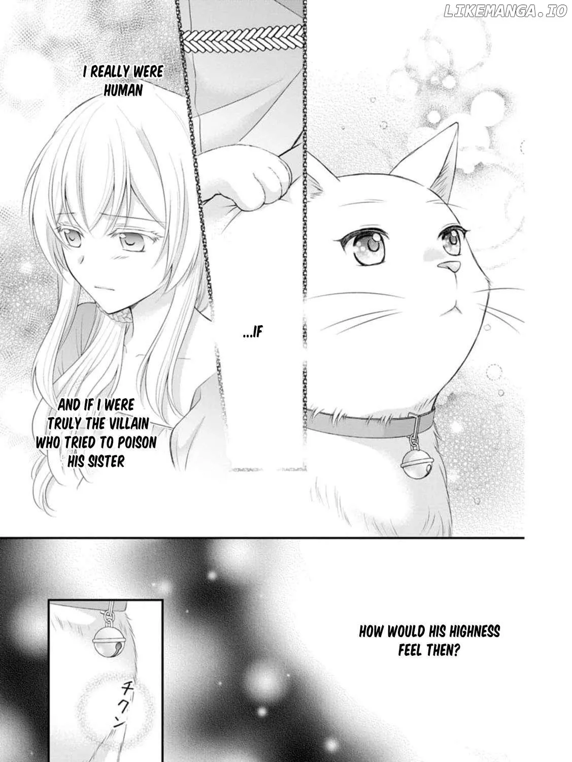 The Villainess Cursed into a Cat is Taken in by the Crown Prince - Chapter 4 - Page 55