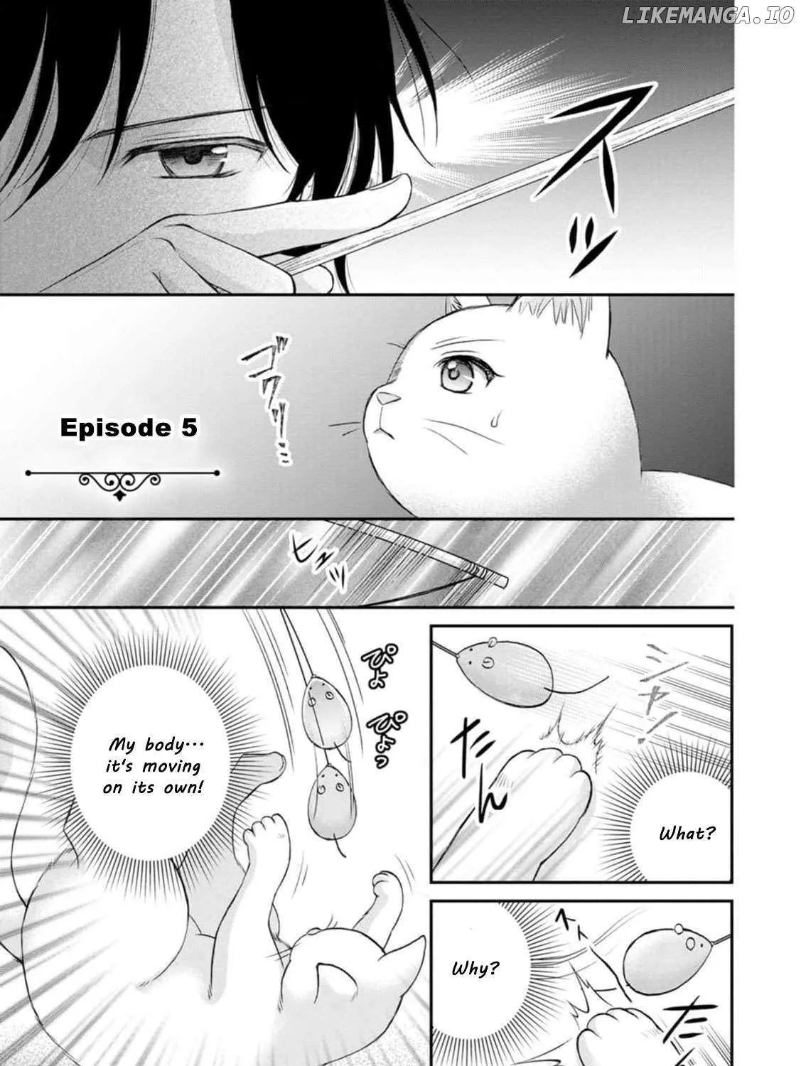 The Villainess Cursed into a Cat is Taken in by the Crown Prince - Chapter 5 - Page 3