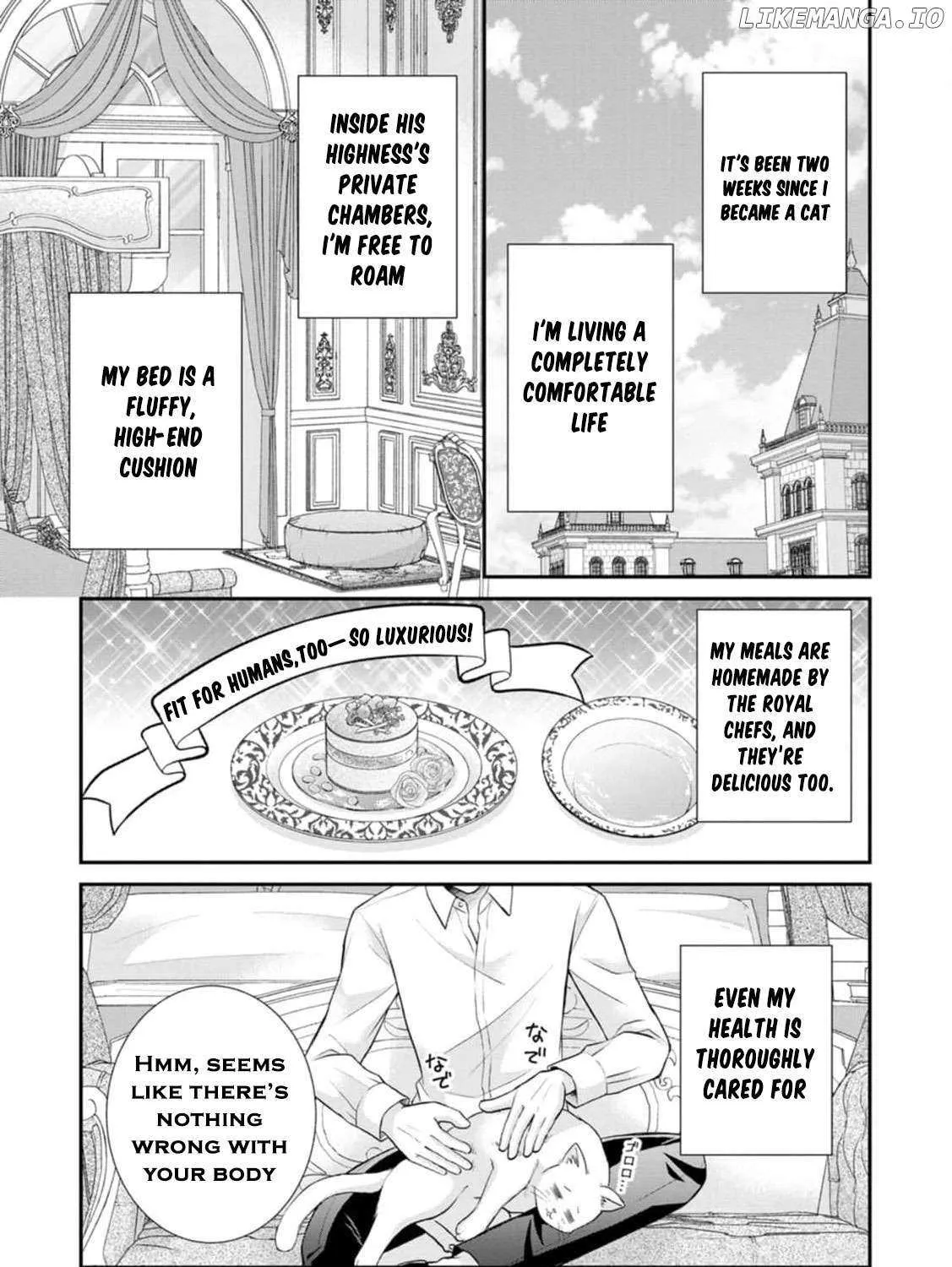 The Villainess Cursed into a Cat is Taken in by the Crown Prince - Chapter 5 - Page 7