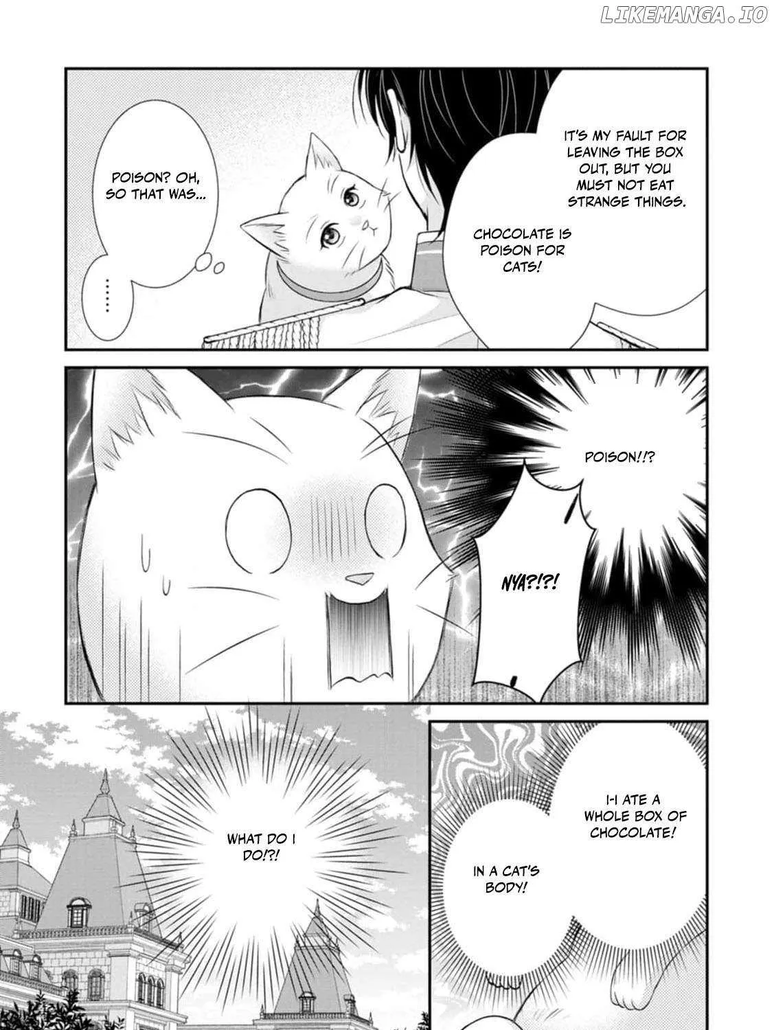 The Villainess Cursed into a Cat is Taken in by the Crown Prince - Chapter 6 - Page 49