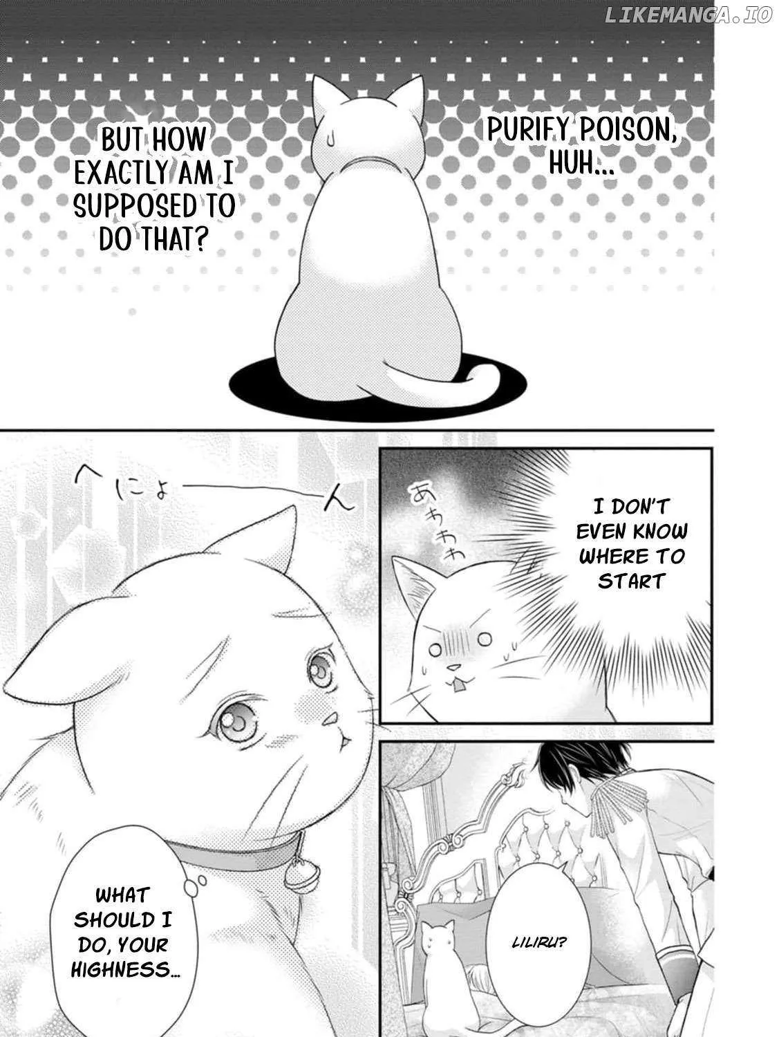 The Villainess Cursed into a Cat is Taken in by the Crown Prince - Chapter 7 - Page 7
