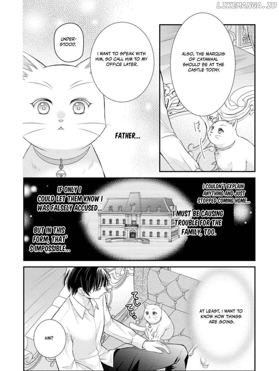 The Villainess Cursed into a Cat is Taken in by the Crown Prince - Chapter 9 - Page 25