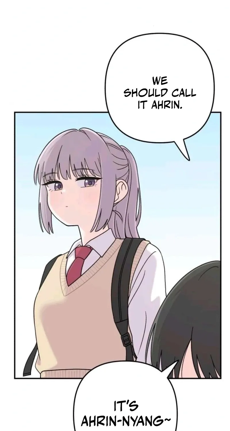 Dugeundugeun Daejakjeon - Chapter 15 - Page 11