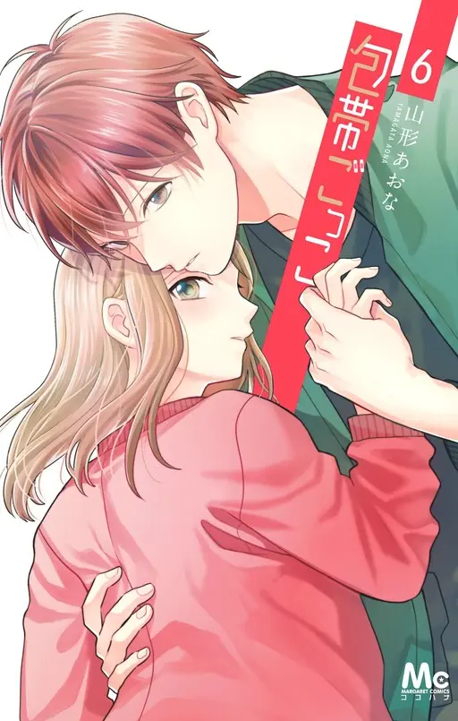 Cover of Houtai Gokko
