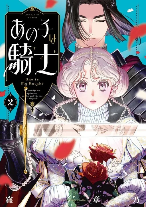 Cover of She is My Knight