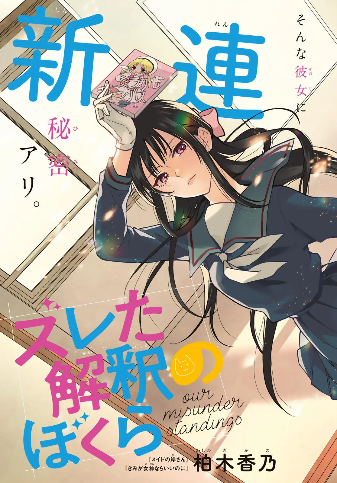 Cover of Our Misunderstandings